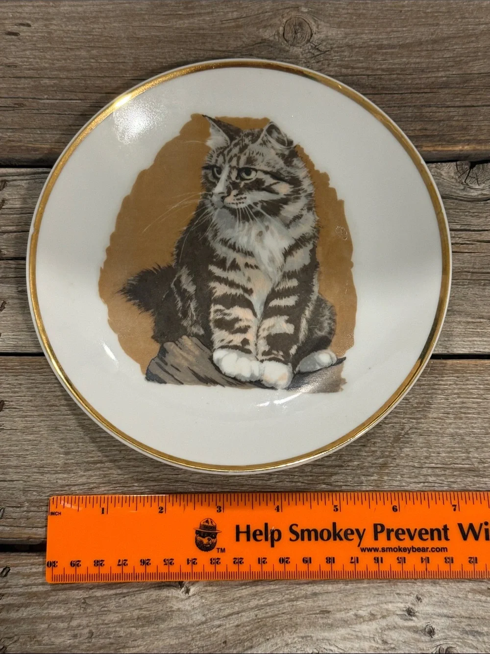 Vintage Made in Japan Tabby Cat Decorative Wall Plate Gold Trim 7” Kitten Decor